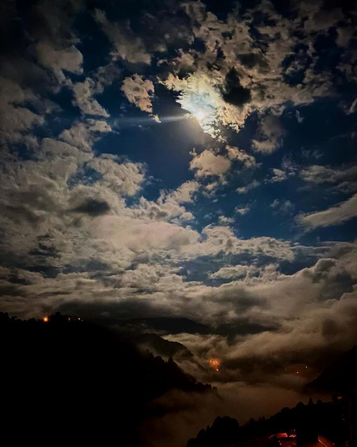 Ayder Yardımcı Apart Dış mekan fotoğraf