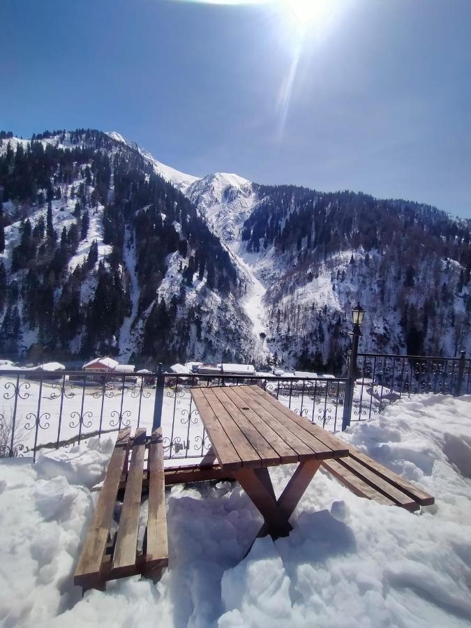 Ayder Yardımcı Apart Dış mekan fotoğraf