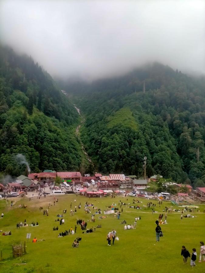 Ayder Yardımcı Apart Dış mekan fotoğraf