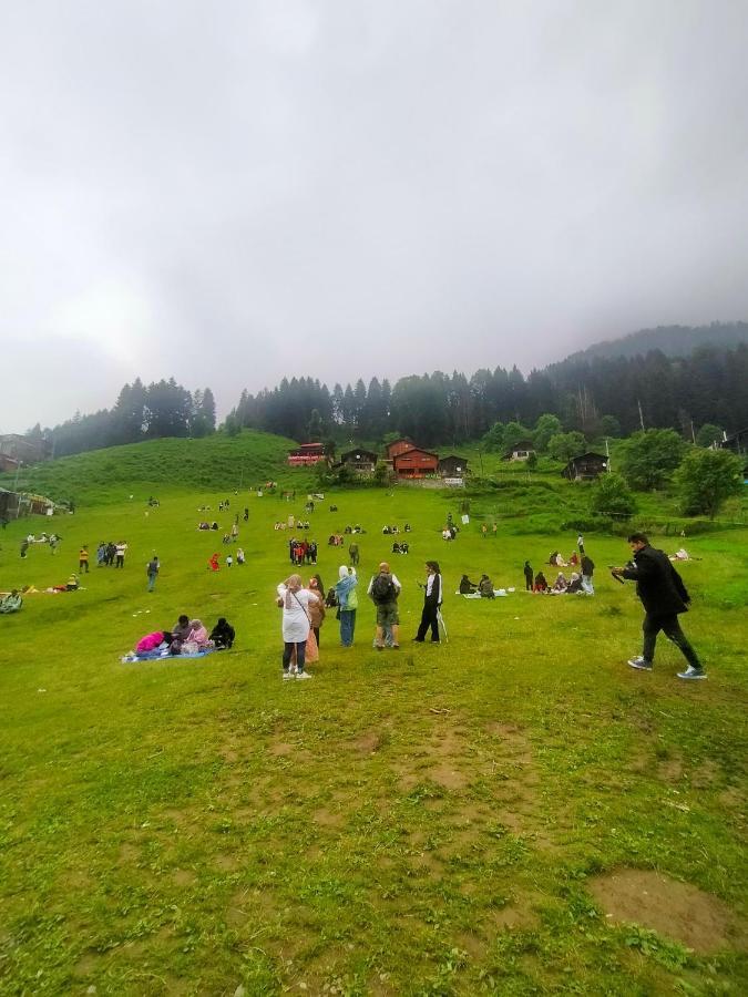 Ayder Yardımcı Apart Dış mekan fotoğraf