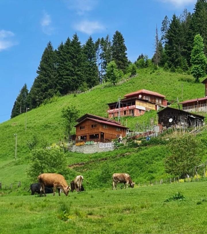 Ayder Yardımcı Apart Dış mekan fotoğraf