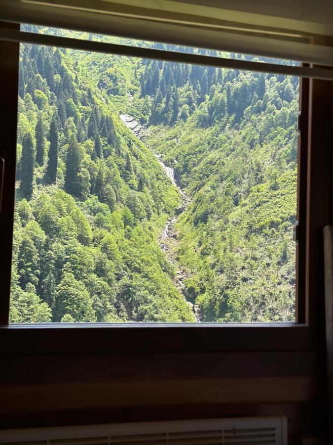Ayder Yardımcı Apart Dış mekan fotoğraf