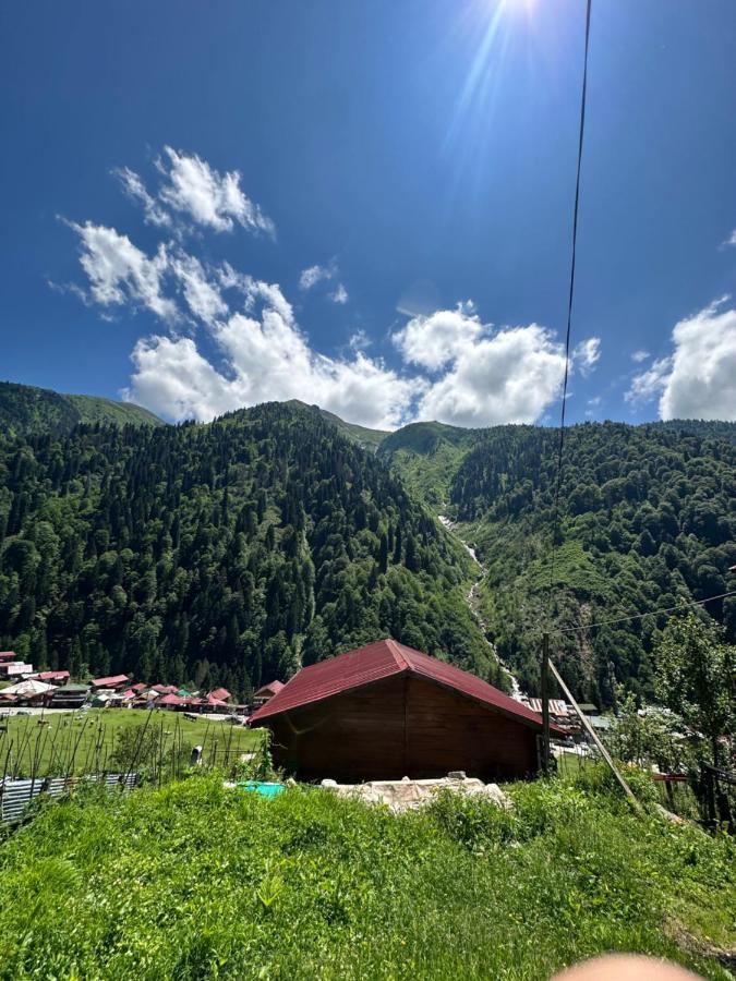 Ayder Yardımcı Apart Dış mekan fotoğraf